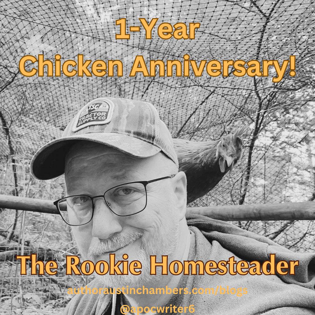 We've Had Chickens for One Year!