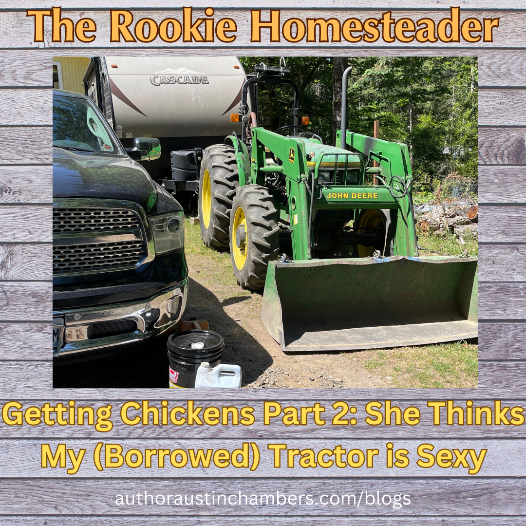 Rookie Homesteader: Getting Chickens Part 2