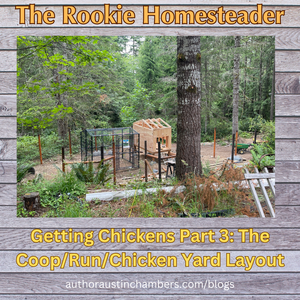 Rookie Homesteader: Getting Chickens Part 3