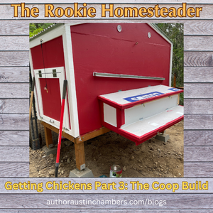Rookie Homesteader: Getting Chickens 4 - The Coop Build