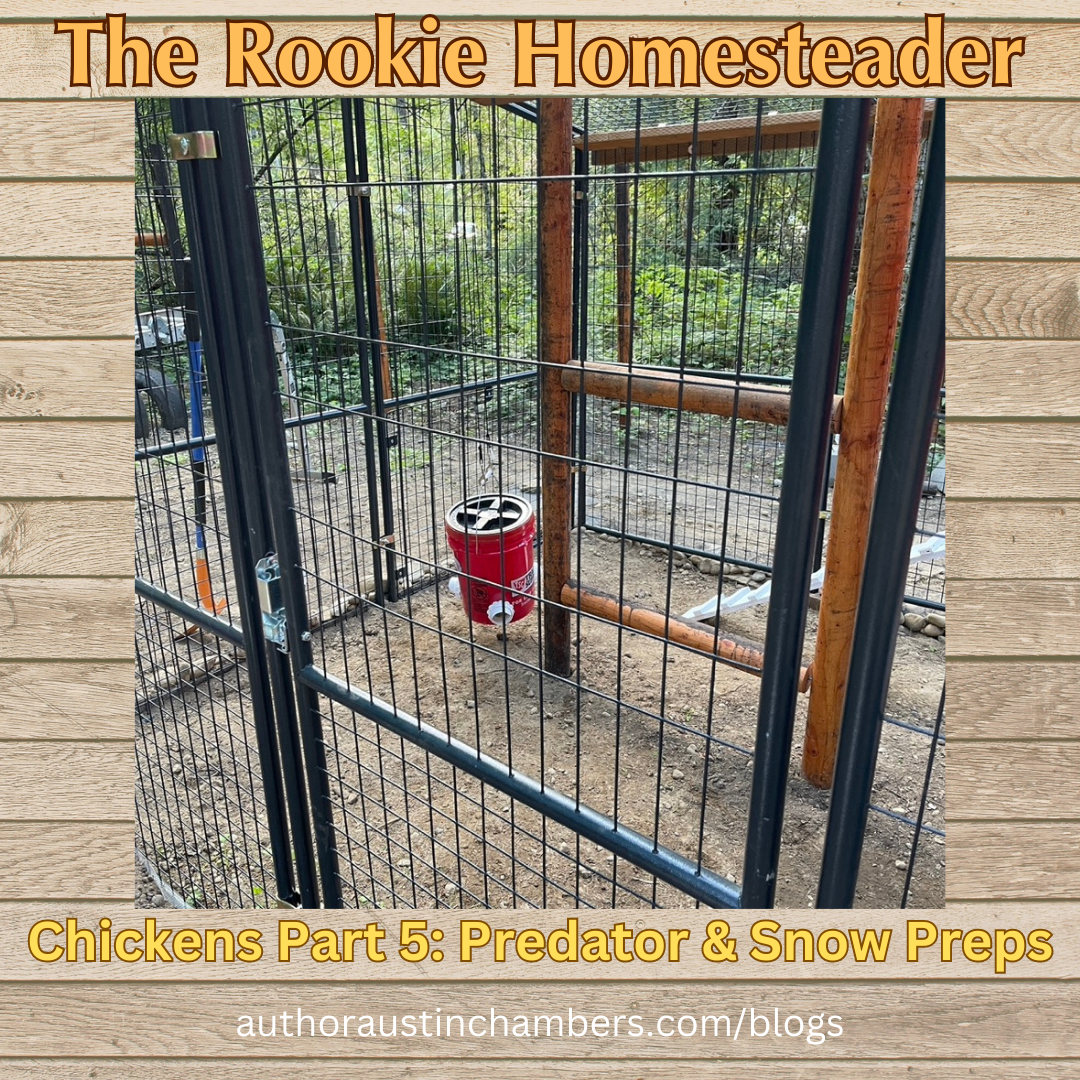 The Rookie Homesteader: Predator & Snow-Load Resistance for the Chickens