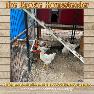 The Rookie Homesteader: Chicken Coop Water and Food Systems