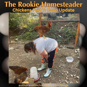 The Rookie Homesteader: Chicken Coop Update